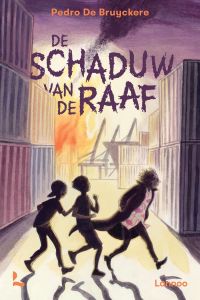 De schaduw van de raaf