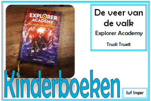 de veer van de valk