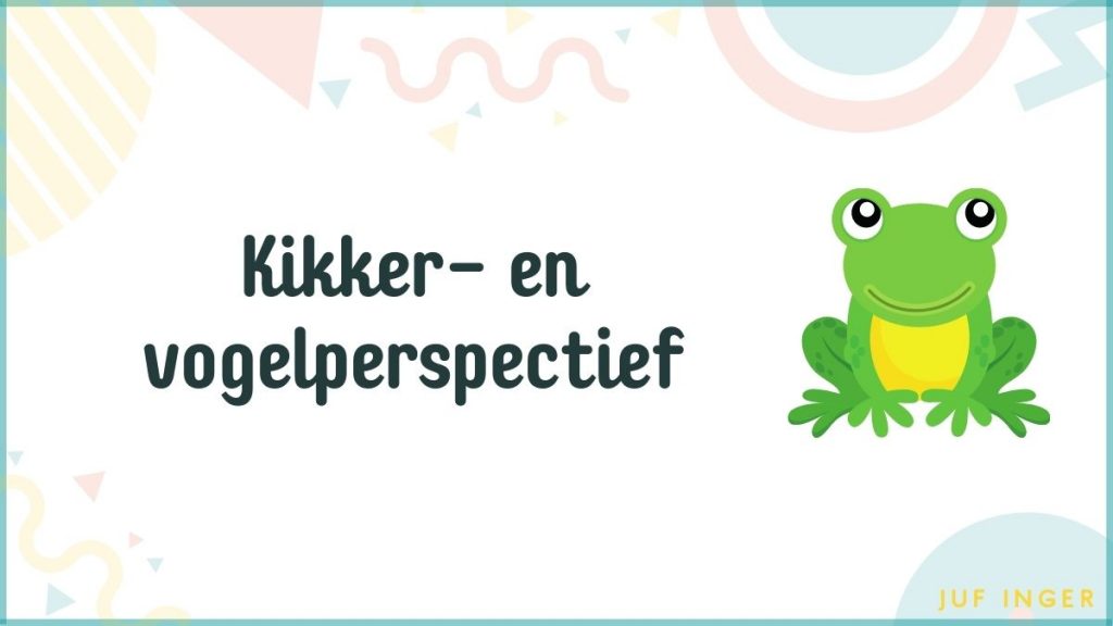 Kikker- en vogelperspectief