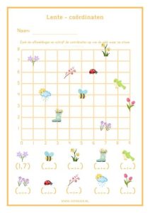 Lente - werkblad coördinaten