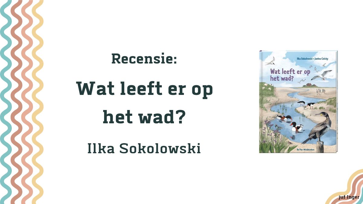 wat leeft er op het wad