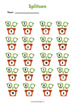 Splitsen met planten