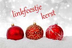 linkfeestje kerst - klein