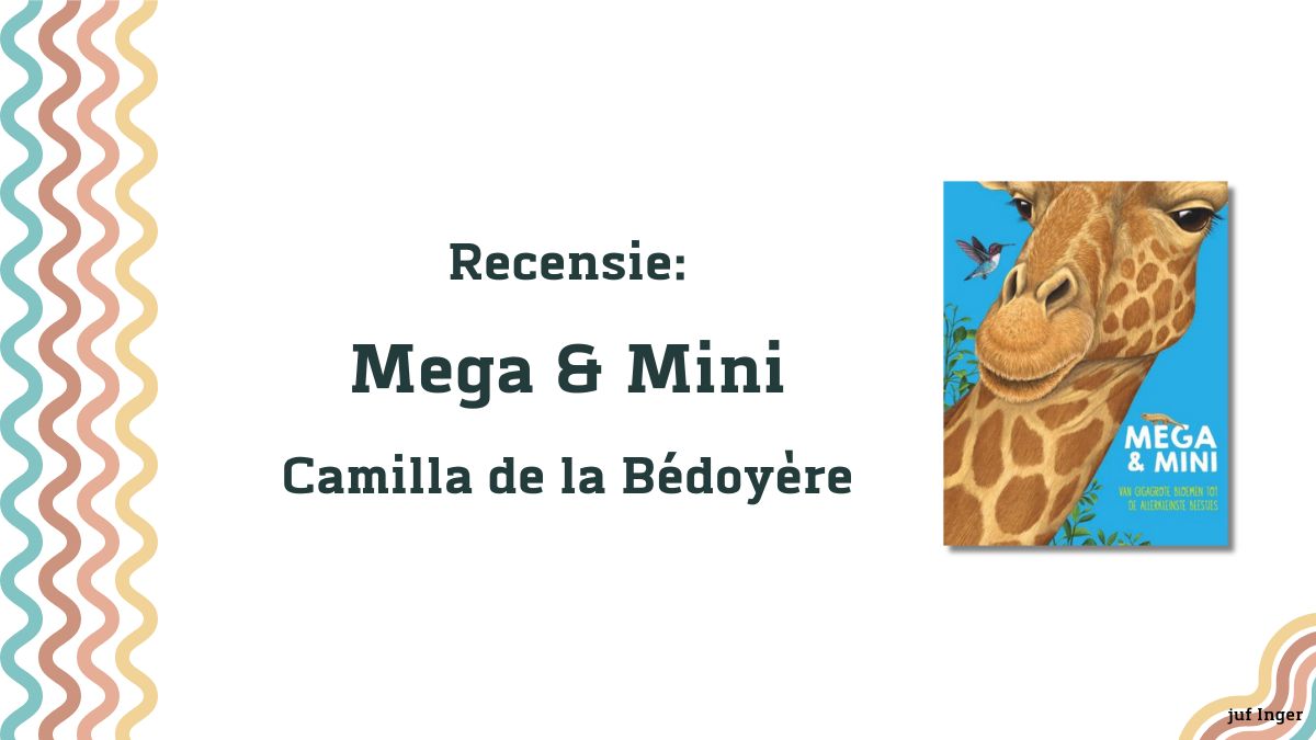 mega en mini (1)