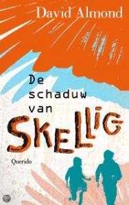 schaduw van skellig